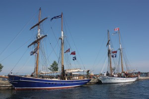 Ahoy Mateys