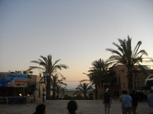 telaviv palms