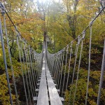LP treetop Photo Courtesy of: Montana Ridge Ent