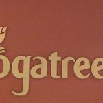Yoga Tree logo