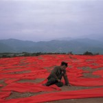 Gao Shiqiang; Courtesy of Gao Magee Gallery, Madrid, Spain