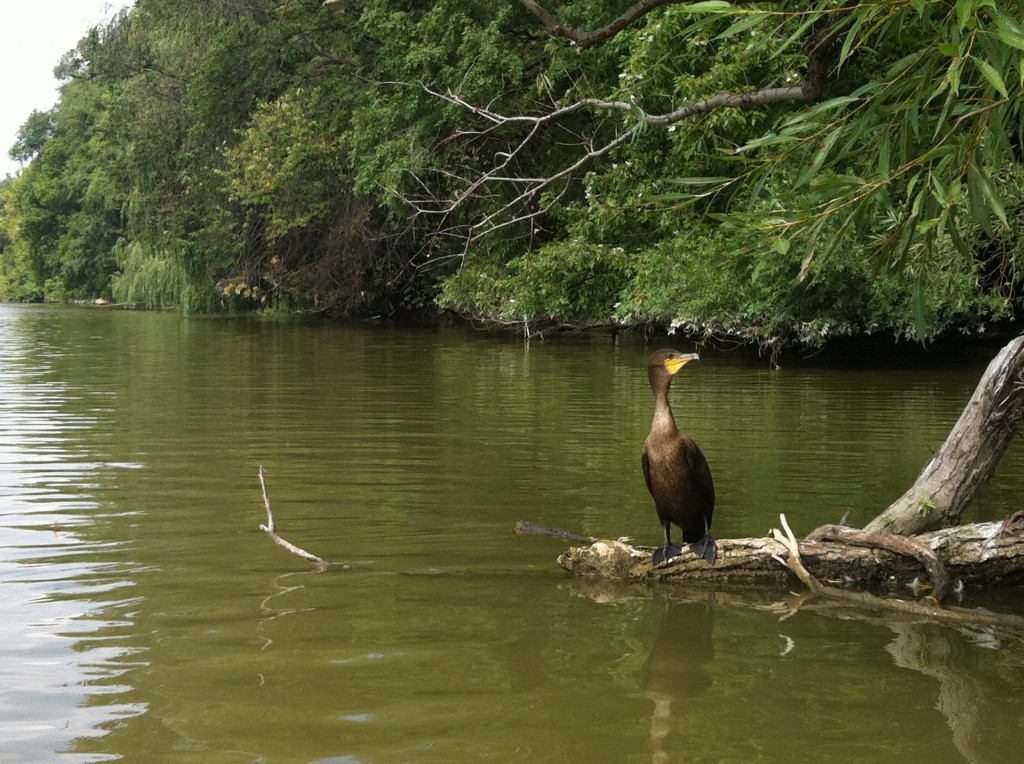 Toronto outdoor adventure can be found in more places than you might imagine. 