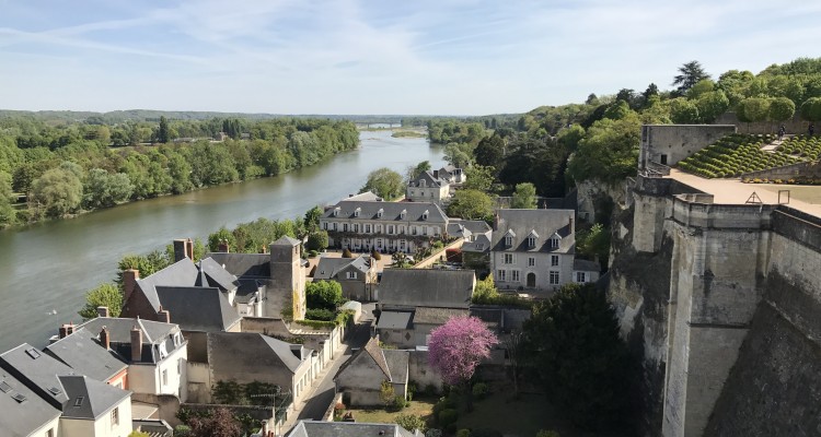 France Loire Valley. Photo Janelle Watkins. TheSceneinTO.com